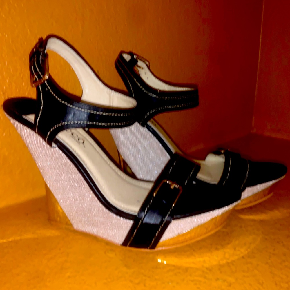Bucco Capensis Wedges